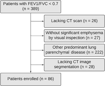 Pulmonary Emphysema Regional Distribution and Extent Assessed by Chest Computed Tomography Is Associated With Pulmonary Function Impairment in Patients With COPD